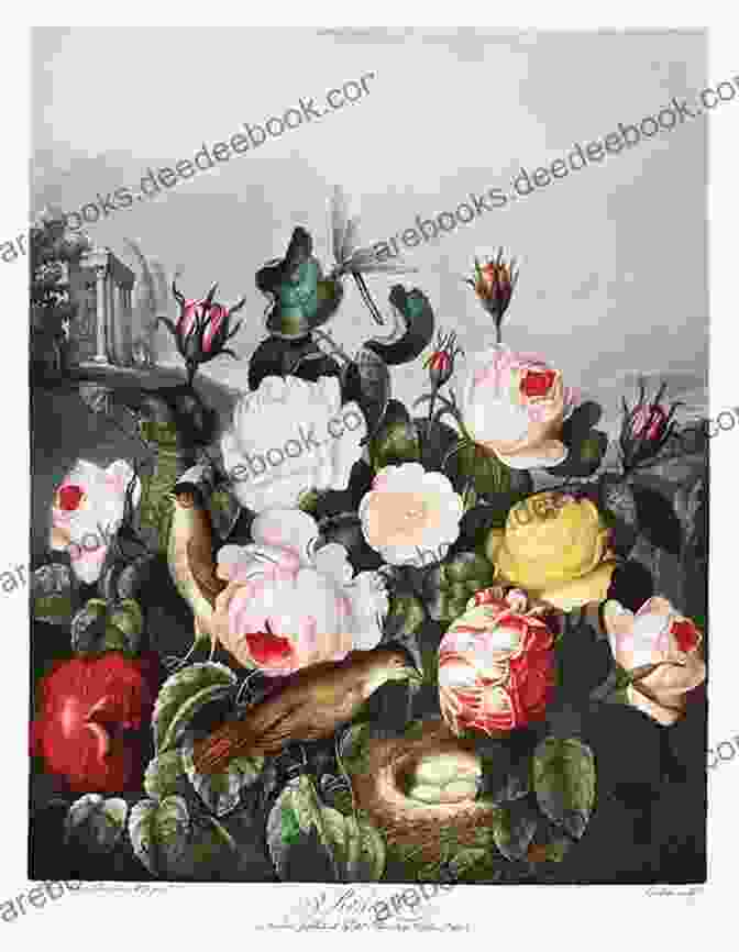 A Botanical Illustration Of A Rose From 'The Temple Of Flora.' Temple Of Flora (delsc) Robert John Thornton