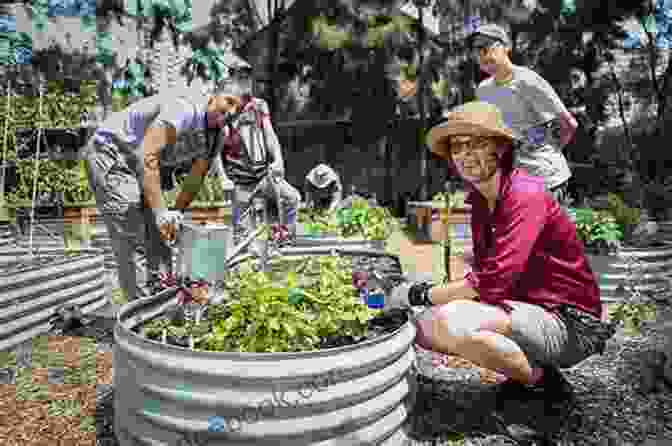 A Community Garden In Action Reconstructing Democracy: How Citizens Are Building From The Ground Up