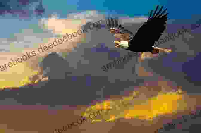 A Majestic Bald Eagle Soaring Through The Sky Over Georgia's Mountains. Birds Of Georgia: How To Identify Attract The Top Birds In Georgia: Birds Of Georgia Field Guide