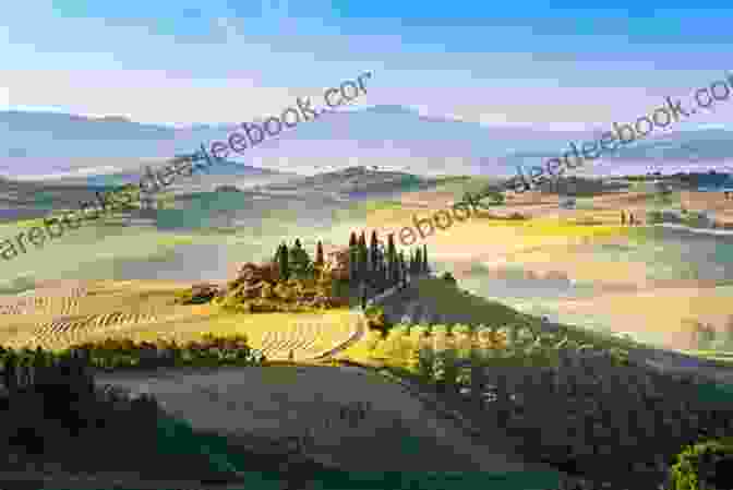A Panoramic View Of The Rolling Hills Of Tuscany In July, With Vineyards, Sunflowers, And Medieval Towns In The Distance Tuscany In July: An Invitation Of A Lifetime