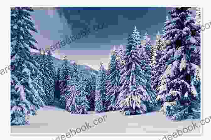 A Picturesque Winter Landscape With Snow Covered Trees And A Frozen Lake Learning About Winter With Children S Literature (Learning About )
