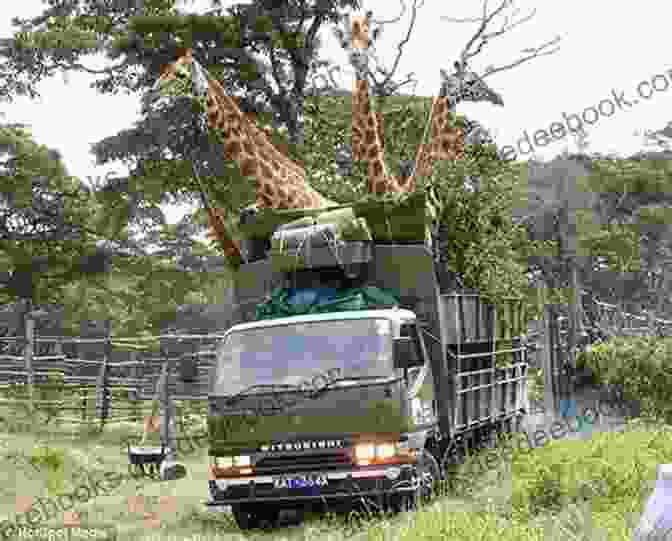 A Transport Truck Carrying Gerald The Giraffe Pulls Into The Family's Driveway, Surrounded By Excited Onlookers My Dad Just Bought A Giraffe (My Dad 1)