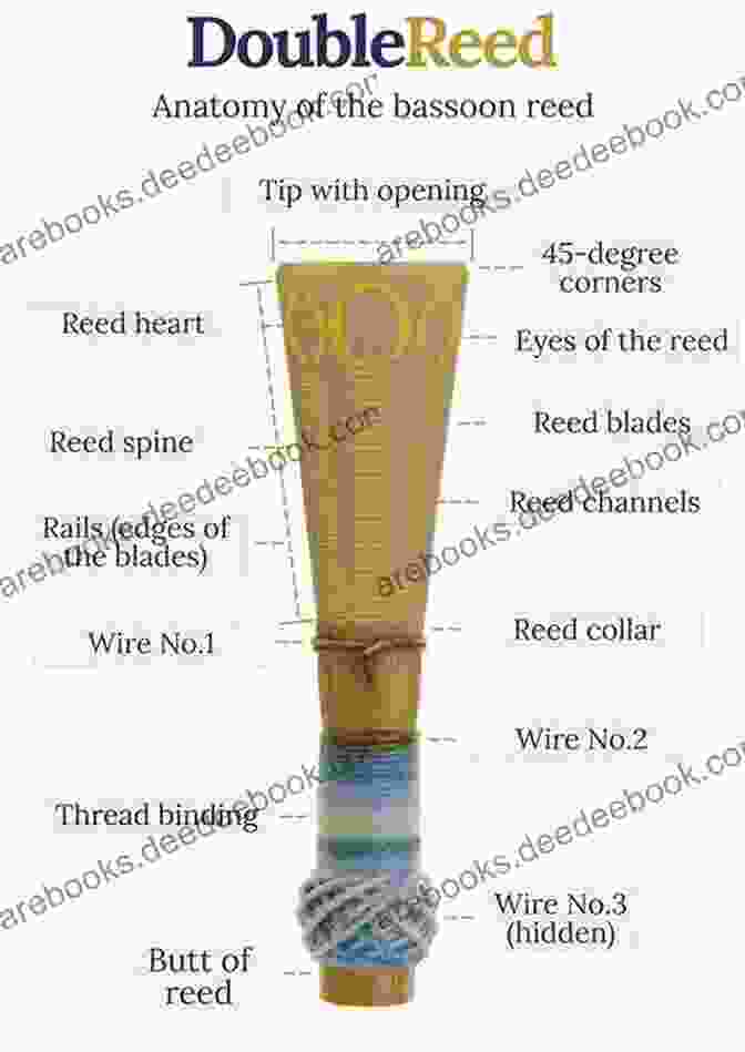 Bassoon Reed Anatomy And Design Techniques BASSOON REED DESIGN AND REEDMAKING LIFE HACKS: A Personal Guide