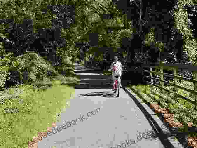 Cyclists Riding Through A Forest On The Capital Crescent Trail Best Easy Bike Rides Washington DC (Best Bike Rides Series)
