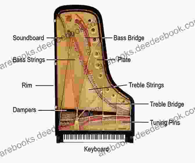 Diagram Of A Piano Showing The Soundboard, Bridge, Tuning Pins, And Dampers. Physics Of The Piano Nicholas J Giordano
