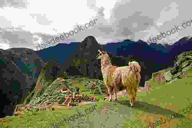 Machu Picchu Insight Guides Peru (Travel Guide EBook)