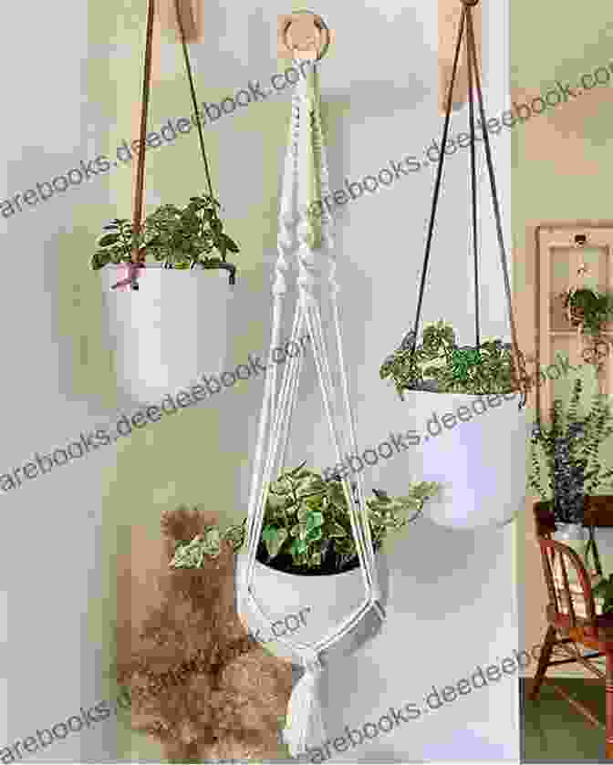 Macrame Plant Hanger Made From Macrame Cord Modern Prairie Sewing: 20 Handmade Projects For You Your Friends