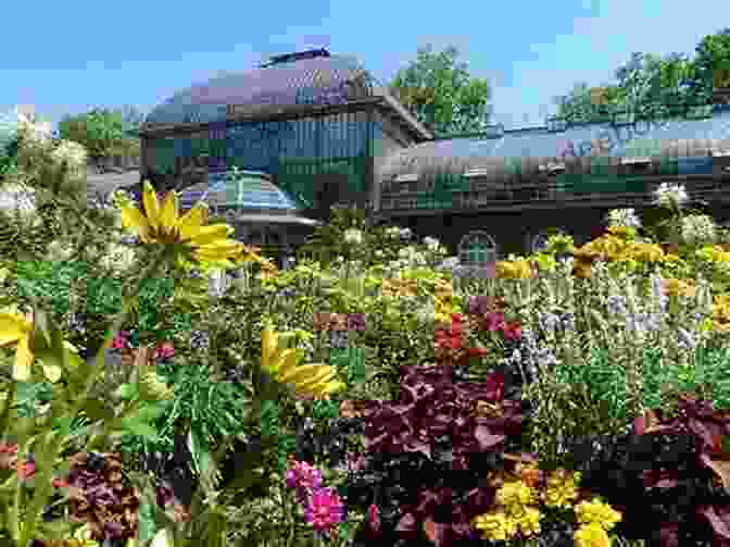 Palmengarten Botanical Garden, Frankfurt 10 Must Visit Locations In Frankfurt: Best Sightseeing Destinations