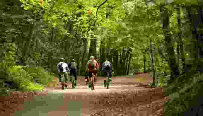 Plym Valley Cycle Path Sportive Ride 20 Classic Sportive Rides In South West England: Graded Routes On Cycle Friendly Roads In Cornwall Devon Somerset And Avon And Dorset (Cycling)