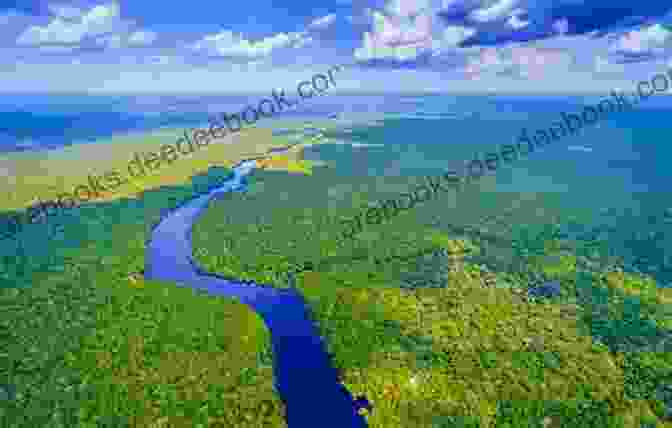 The Amazon Rainforest In Brazil Brazil Is Great: Get To Know A Brazil That The Media Doesn T Show You Or Just Don T Want You To Know