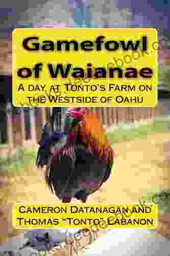 Gamefowl Of Waianae: A Day At Tonto S Farm On The Westside Of Oahu (Chickens Of Hawaii)