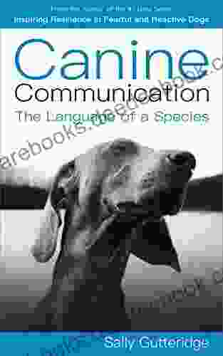 Canine Communication: The Language Of A Species