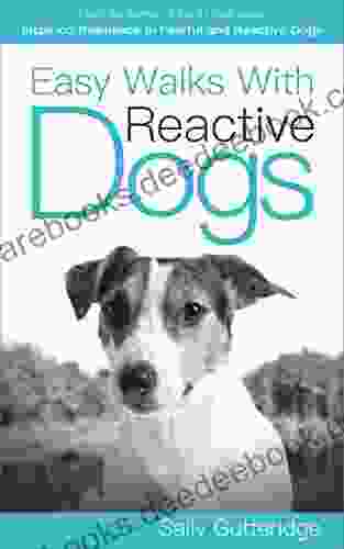 Easy Walks With Reactive Dogs (Mission Possible Solutions 3)