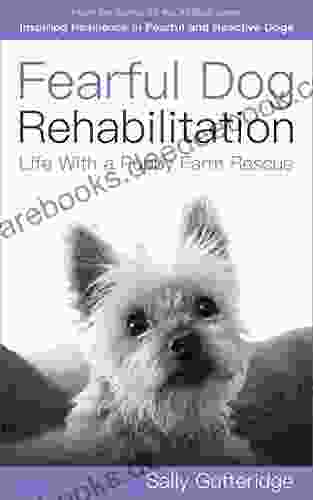 Fearful Dog Rehabilitation: Life With A Puppy Farm Rescue