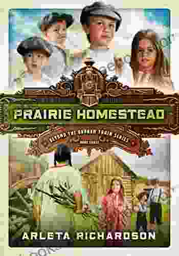 Prairie Homestead (Beyond The Orphan Train 3)