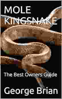 MOLE KINGSNAKE: The Best Owners Guide