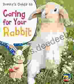 Bunny S Guide To Caring For Your Rabbit (Pets Guides)